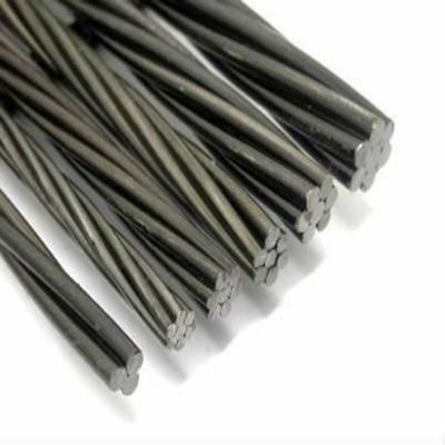 Cables de alambre de acero inoxidable 1*7 7*7 1*19 7*19 6*12 6*19 FC Iwrc elevador galvanizado TPU/PVC